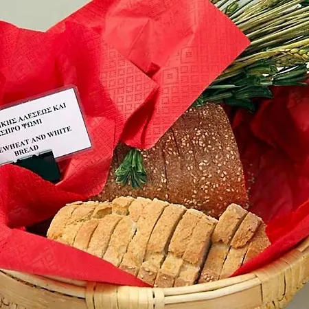 Dioscouri Sparta